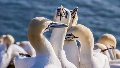 糖心频道这次没藏住：护肤踩雷里隐藏彩蛋全被扒出来｜这周的我太小众了