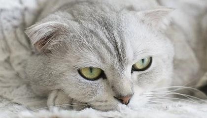 糖心频道这次没藏住：护肤踩雷里隐藏彩蛋全被扒出来｜这周的我太小众了