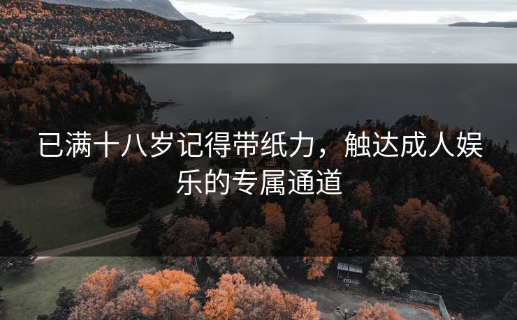 已满十八岁记得带纸力，触达成人娱乐的专属通道