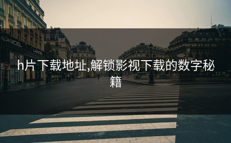 h片下载地址,解锁影视下载的数字秘籍