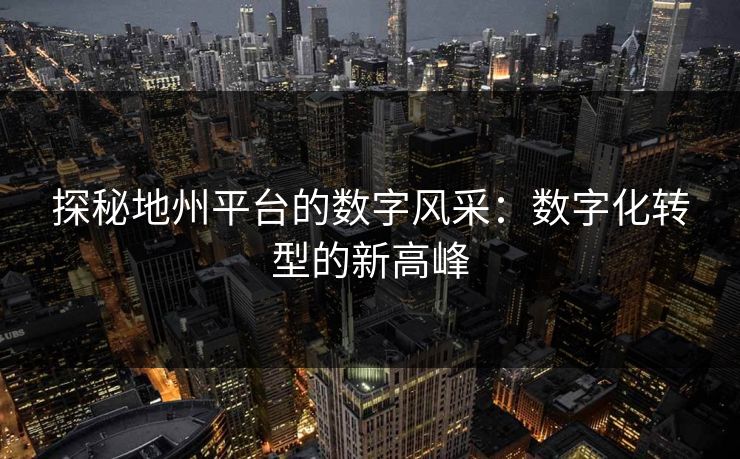 探秘地州平台的数字风采：数字化转型的新高峰