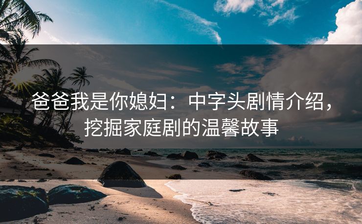爸爸我是你媳妇：中字头剧情介绍，挖掘家庭剧的温馨故事