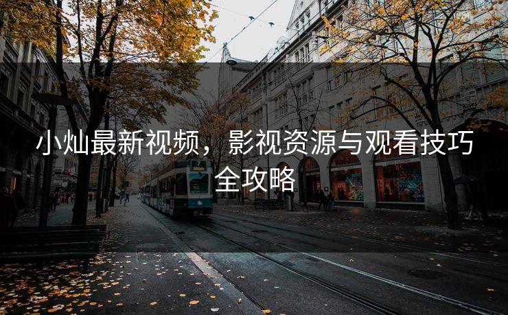 小灿最新视频，影视资源与观看技巧全攻略