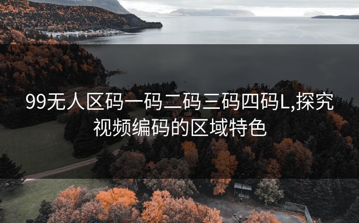 99无人区码一码二码三码四码L,探究视频编码的区域特色 99无人区码一码二码三码四码L,探究视频编码的区域特色