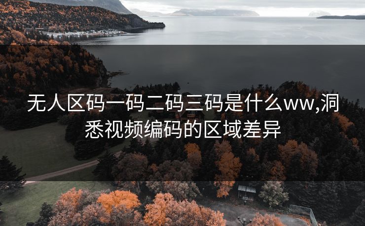 无人区码一码二码三码是什么ww,洞悉视频编码的区域差异 无人区码一码二码三码是什么ww,洞悉视频编码的区域差异