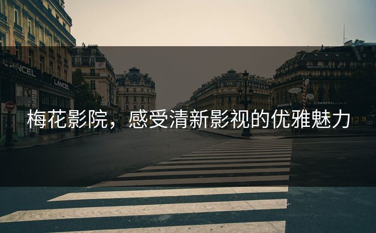 梅花影院,感受清新影视的优雅魅力 梅花影院,感受清新影视的优雅魅力