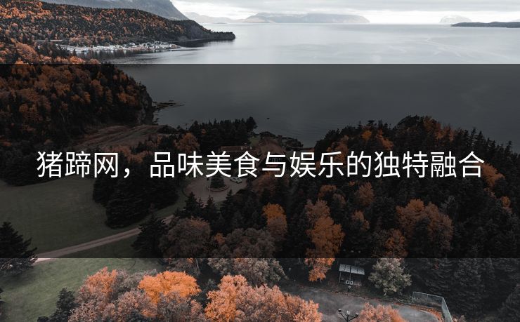 猪蹄网，品味美食与娱乐的独特融合