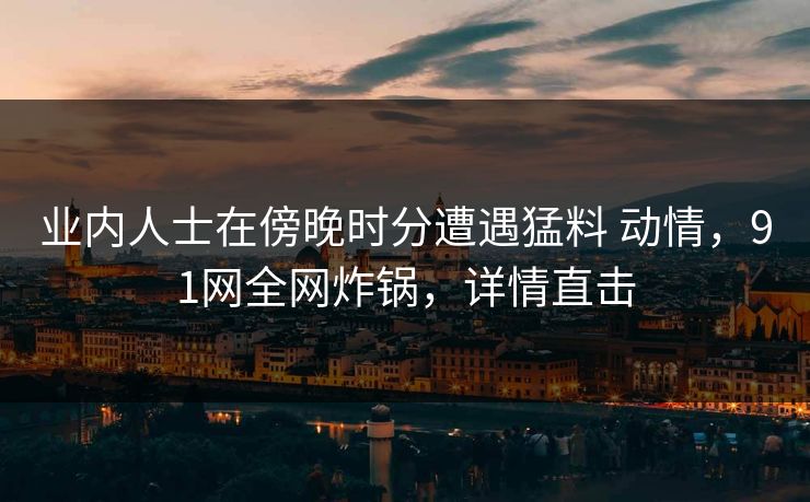 业内人士在傍晚时分遭遇猛料 动情，91网全网炸锅，详情直击